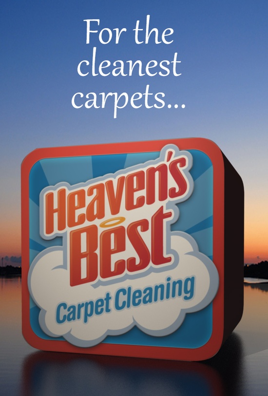 Heaven's Best Carpet Cleaning [city, state]
